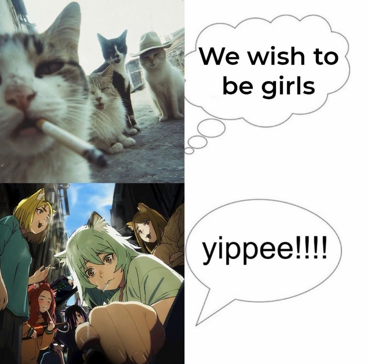 AnimeePost's tweet photo. https://t.co/HpEnL8DaHf