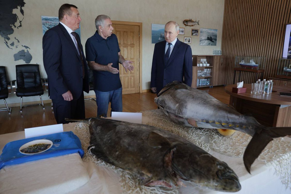 LudmilaVasilg's tweet photo. Первый пункт программы – посещение рыбоперерабатывающего комбината «Ясный» на острове Итуруп.
#FoxNews #dwnews #MyślPolska #chicagotribune #ViennaOnline #DM #cnnbrk #TF1 #BelfastTelegraph #AsiaTimes #LiveStream #informacion_es #bloombergUK #LaLibre
#Thehill https://t.co/Irgjskafbp