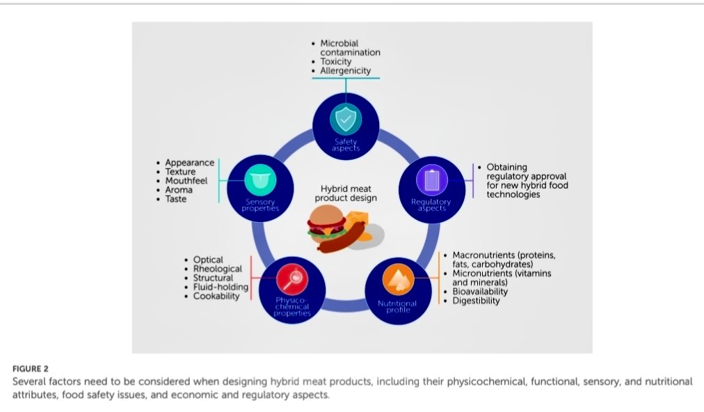 joseramosvivas's tweet photo. ¿Te imaginas una hamburguesa que combine distintas fuentes de proteínas alternativas, como ingredientes vegetales, micelio de hongos o carne cultivada? 🌍🌱🍔

Este paper analiza los alimentos híbridos basados en proteínas alternativas y su potencial para contribuir a un sistema alimentario más sostenible, nutritivo y ético. 🔬

🔍 Puntos clave: 👇🏻👍🏻

- 🧪 Diversidad de fuentes: plantas 🌿, insectos 🦗, micelio 🍄, células animales cultivadas y productos obtenidos mediante fermentación microbiana pueden combinarse para diseñar nuevos alimentos híbridos.

- 👅 Propiedades sensoriales y nutricionales: textura, sabor, apariencia, composición nutricional y seguridad son factores esenciales para desarrollar productos competitivos y aceptables para los consumidores.

- ⚖️ Retos actuales: siguen siendo importantes la reducción de costes 💰, la escalabilidad, la evaluación del impacto ambiental, la regulación y la aceptación del consumidor.
🔗👇🏻 https://t.co/ARJLTOvQ91

#Sostenibilidad #InnovaciónAlimentaria #FuturoDeLosAlimentos #ProteínasAlternativas #Biotecnología #Nutrición #AlimentosHíbridos #CarneCultivada #FermentaciónDePrecisión #CienciaYSociedad