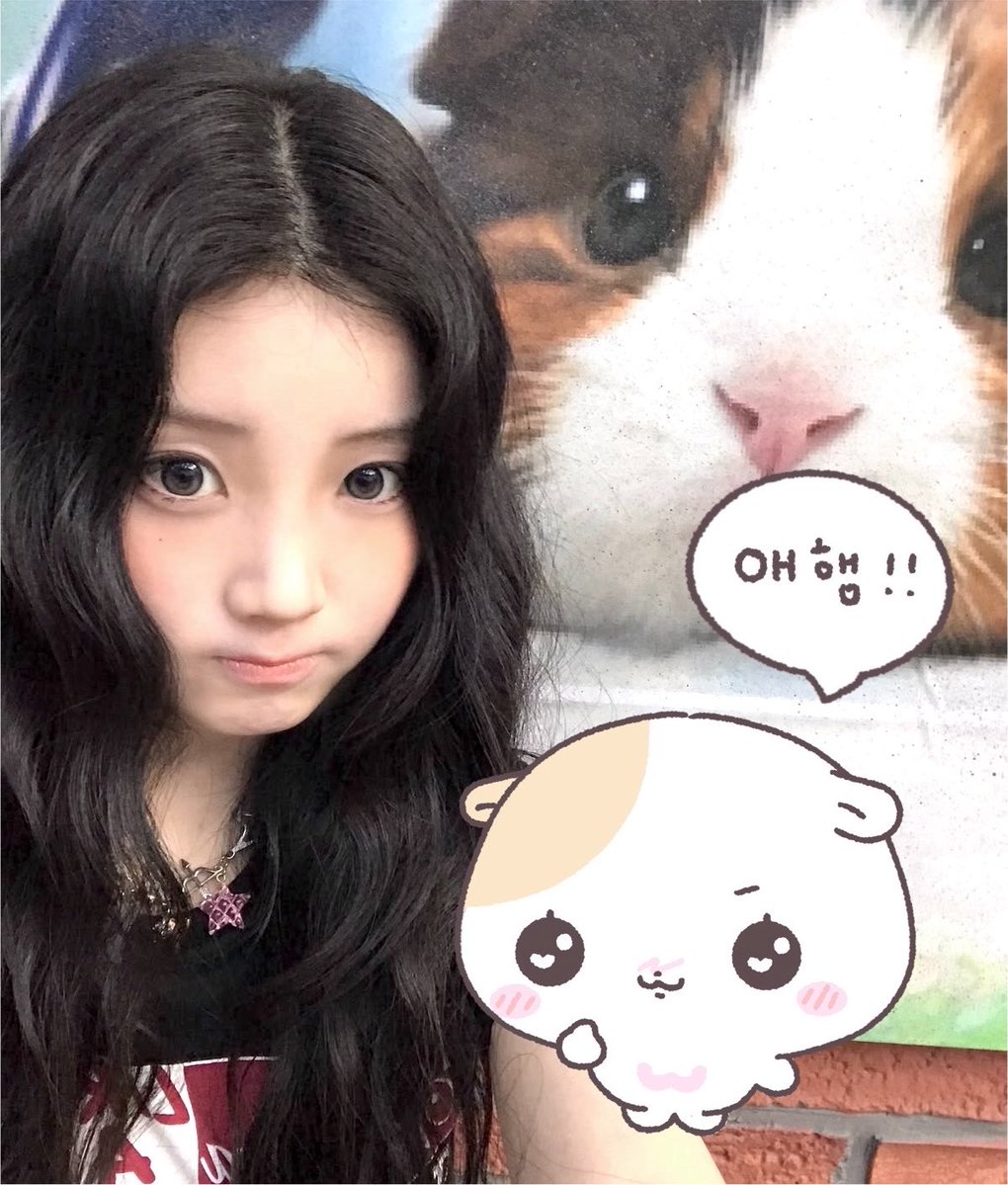 guineahee's tweet photo. 애햄애햄 ⸝⸝₎ა・͛・͛ https://t.co/l0JXURE0sI
