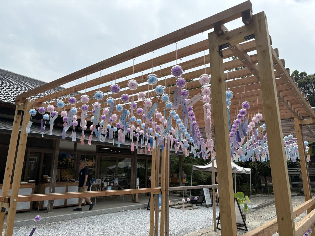 supu2525's tweet photo. 高知でハイキングしてきた🥾 https://t.co/Ht9O2lDlii