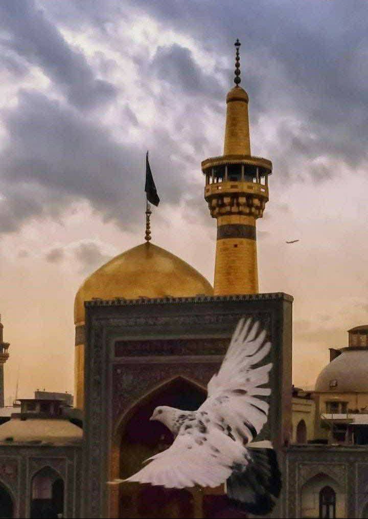 S_0_18's tweet photo. ای پناه بی کسان، ای آرامش دل های بی قرار...
#ایران_امام_رضا https://t.co/VCtjQKW674