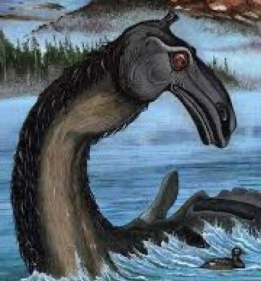 CryptoLoren tweet picture