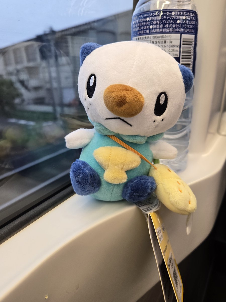 BlueLily221's tweet photo. https://t.co/2rl2vJKfjd