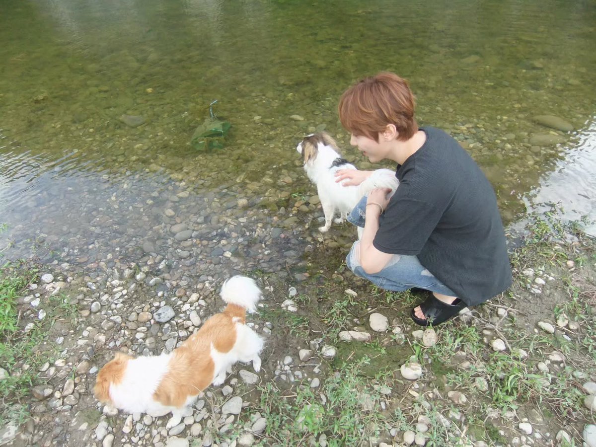 updatingsvt's tweet photo. [INSTAGRAM] 260813 SEUNGKWAN (3)

🍊: ☘️

short

achilles tendon

wanna do stone skipping?

somewhat feels like forced

puppies

are you thirsty?

let's drink some water before we leave💦

#SEUNGKWAN #승관 https://t.co/FOCfGW9HIv