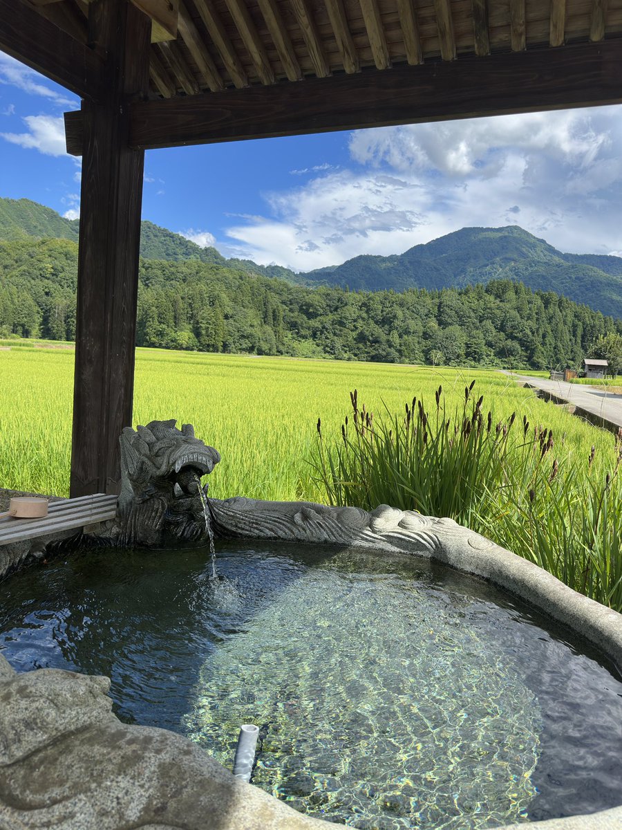 TWwacci0122's tweet photo. 田舎の夏景色良き！実家に帰ると童心が蘇るw https://t.co/LKvwl3ByGN