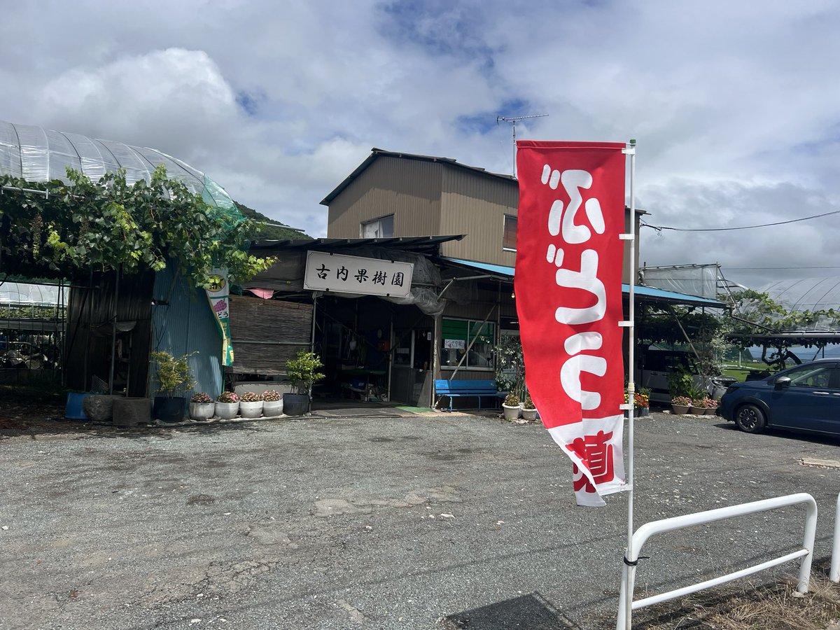 fu_kuu's tweet photo. 本日「SNSサボんな！」とお客さまにバッサリ切られました
誰も見てないと思って畑に引きこもってましたが、まさかリアルで監視されていたとは…
というわけで、昨年の『いいね』の数を超えるべく古内果樹園直売所の営業告知をいたします！
美味しいぶどう揃っております！ https://t.co/QD5myJ9Mvk