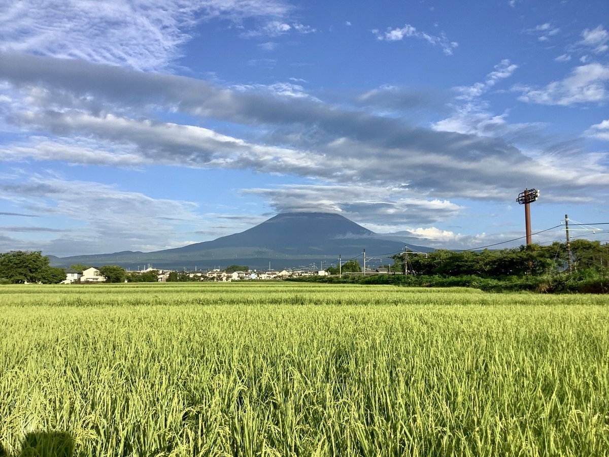darudanian's tweet photo. 今日は議員懇談会と議会改革特別委員会の会議で夕方、4時までかかりました。さすがに昨夜の台風一過で気温も下がり、今朝の新聞配達時は外気温21℃でした。お盆休みが明けると一気に秋になるかしら？ https://t.co/aYckME6BvF