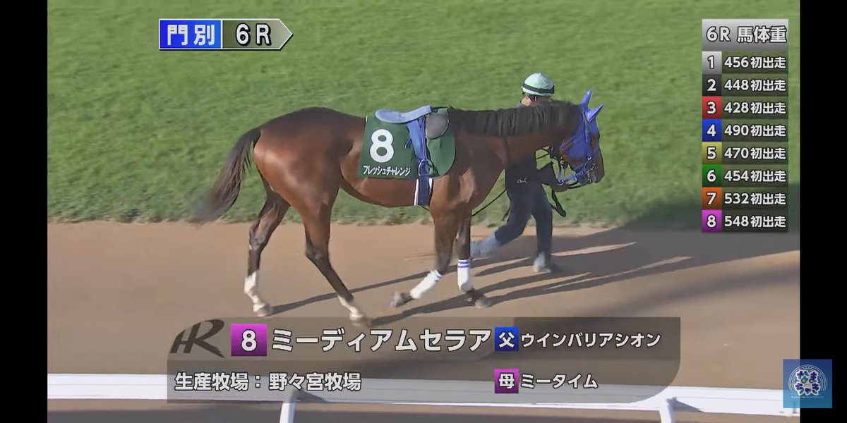 nachio_kun's tweet photo. 門別６Ｒ
#２歳馬お気に入り https://t.co/lMBQs90Vmj