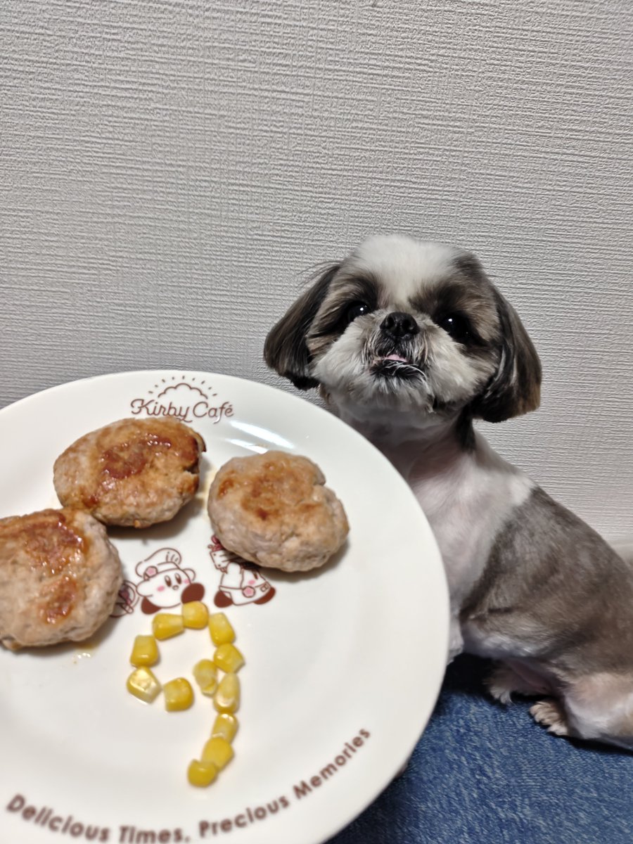 8fuuuchan's tweet photo. 誕生日過ぎたけど
8/11でふうごが9歳になったよ
1桁最後の年…年月経つのが早すぎる😭
今年も健康で楽しく過ごそうね https://t.co/sqNQmP96rX