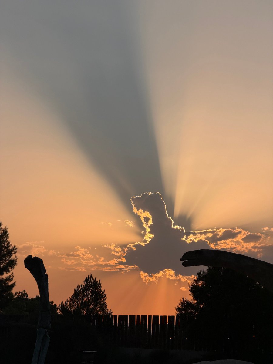 forocoches's tweet photo. En TERUEL tenían casi 2 minutos de ECLIPSE TOTAL 100% y ha pasado esto...

https://t.co/AqjNy4xXNx https://t.co/ci38CiMWaq