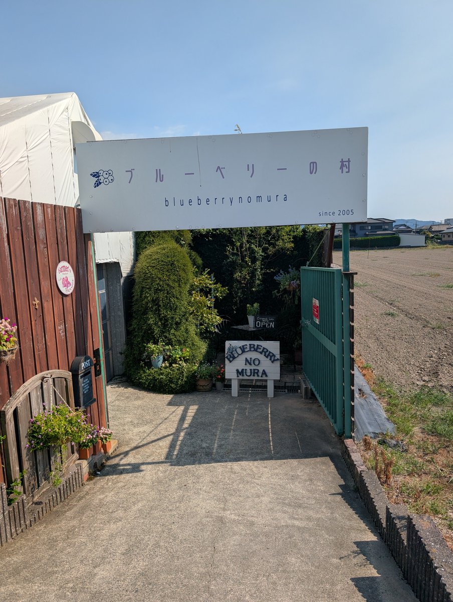 Bell_J_Q's tweet photo. 前々から行きたかった「ブルーベリーの村」さんにお邪魔してきました！
摘み放題と聞き、ひたすらにほぼ全ての木を観察すること一時間弱、食べ���な実がたくさん採れました🫐
この投稿を配信で見る時、また採れる季節になっているかも…？
#ユーノーミー
#はらぺこ師匠 https://t.co/2W8iULbaEr