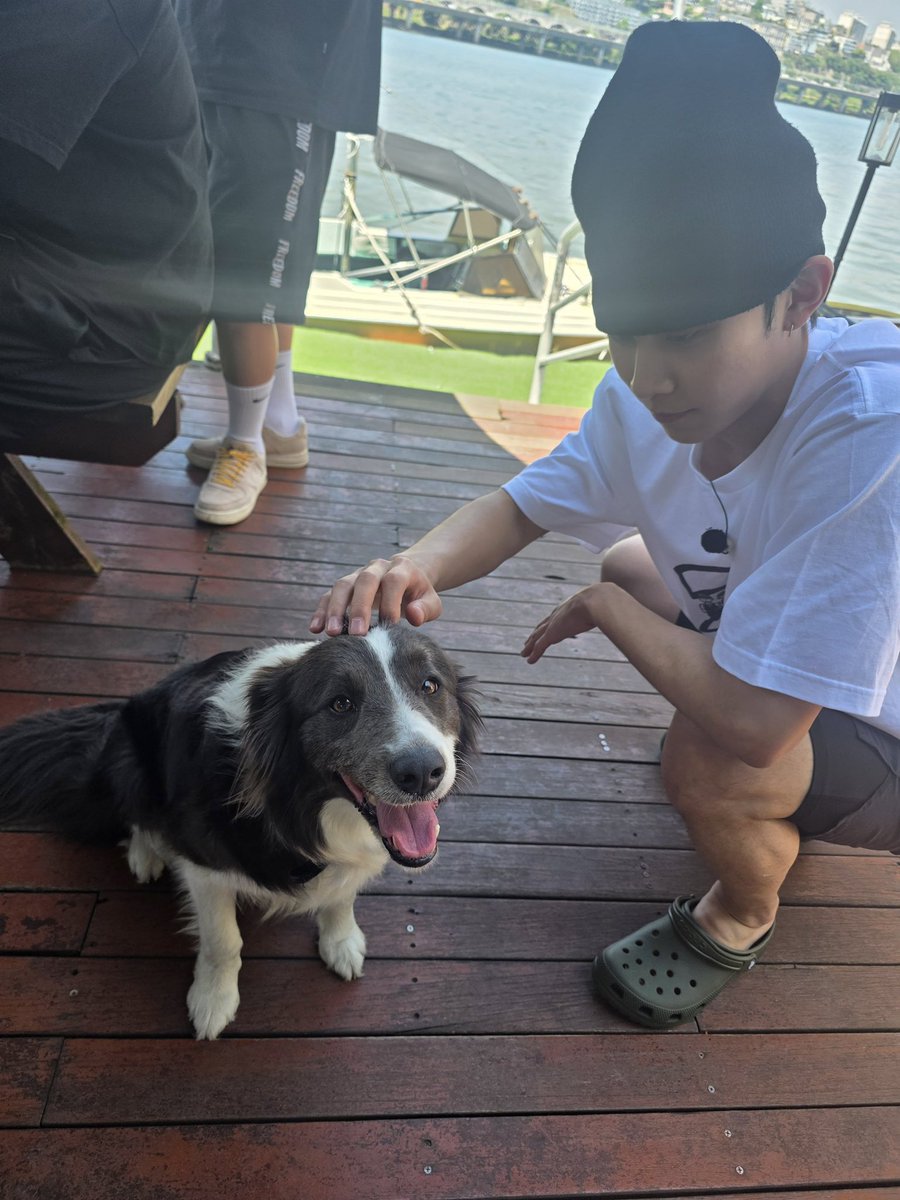 terjemahinRYUL's tweet photo. 260813 📸 rivercity_official 

Ryul with doggo 🐾

#률 #RYUL #롱샷 #LNGSHOT https://t.co/fhD0zhxCsW
