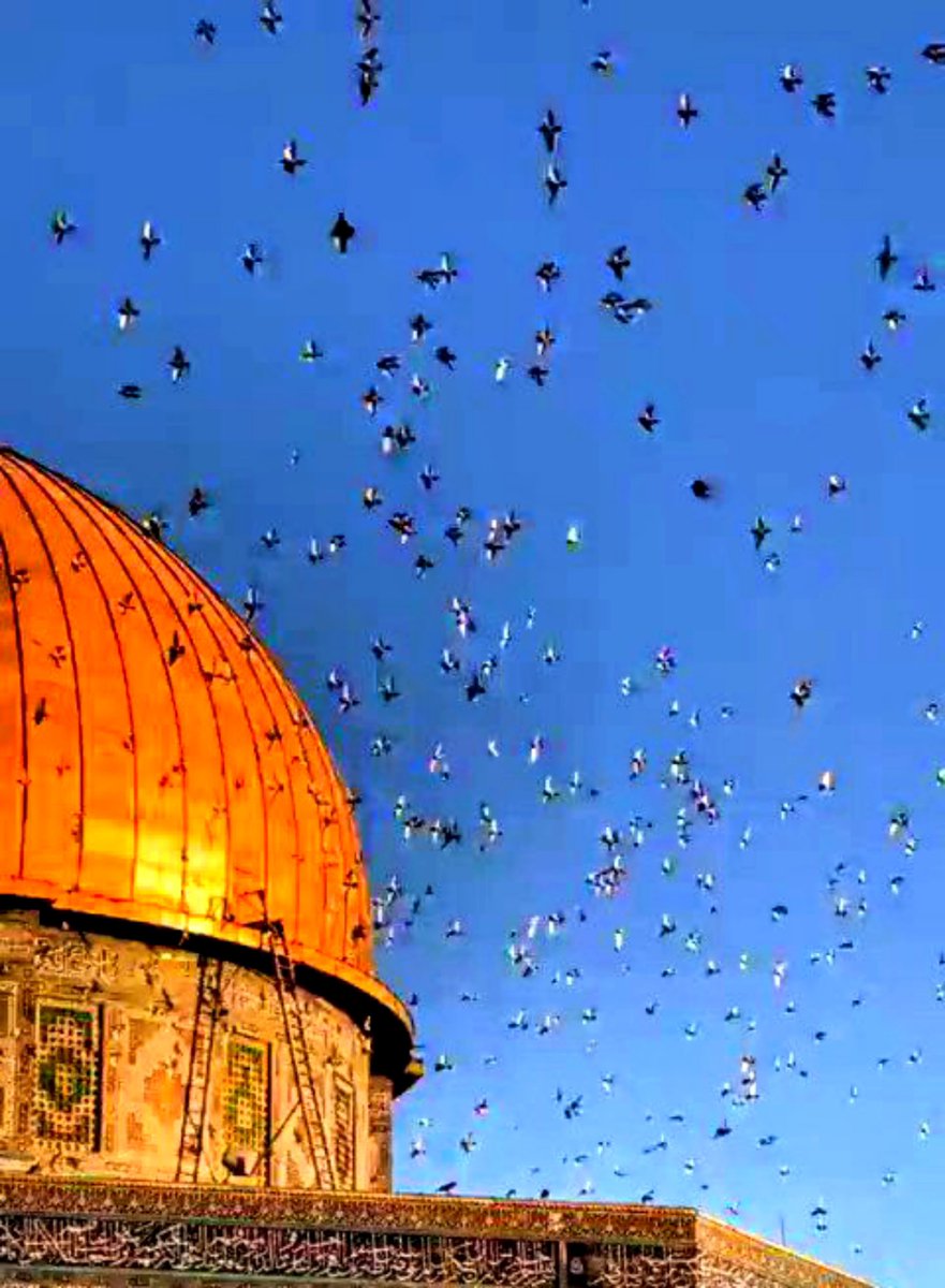 aysefg34's tweet photo. Rahmân ve Rahîm olan Allah'ın adıyla. 

... Allah bütün yaptıklarınızı görmektedir.

Enfâl Sûresi, 72 https://t.co/E4nIDVaJvy