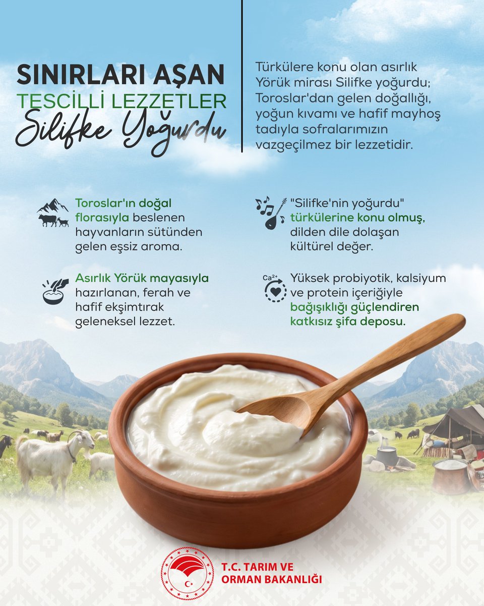 TCTarim's tweet photo. 🤌 Sınırları Aşan Tescilli Lezzetler

📜 Sadece bir lezzet değil, nesilden nesile aktarılan bir kültürel miras.

🎵 Notalara "Silifke'nin yoğurdu" olarak işlenen bu asırlık değer, Yörük kültürünün eşsiz mayası ve Toroslar'ın doğallığıyla bugüne ulaşıyor. https://t.co/46bnjzm1ah