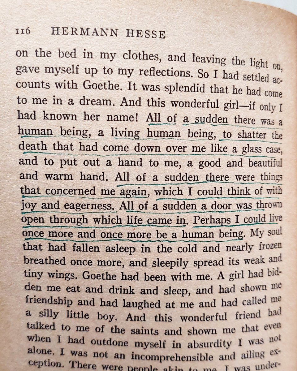 skinandscript's tweet photo. when i underlined these, i was pleading, so fervently, please please please allow me to feel alive again. james, you are, to me, the answer to my desperate plea that night. the hermine to my steppenwolf. the main person in my magic theater. https://t.co/UAvcIugnWX