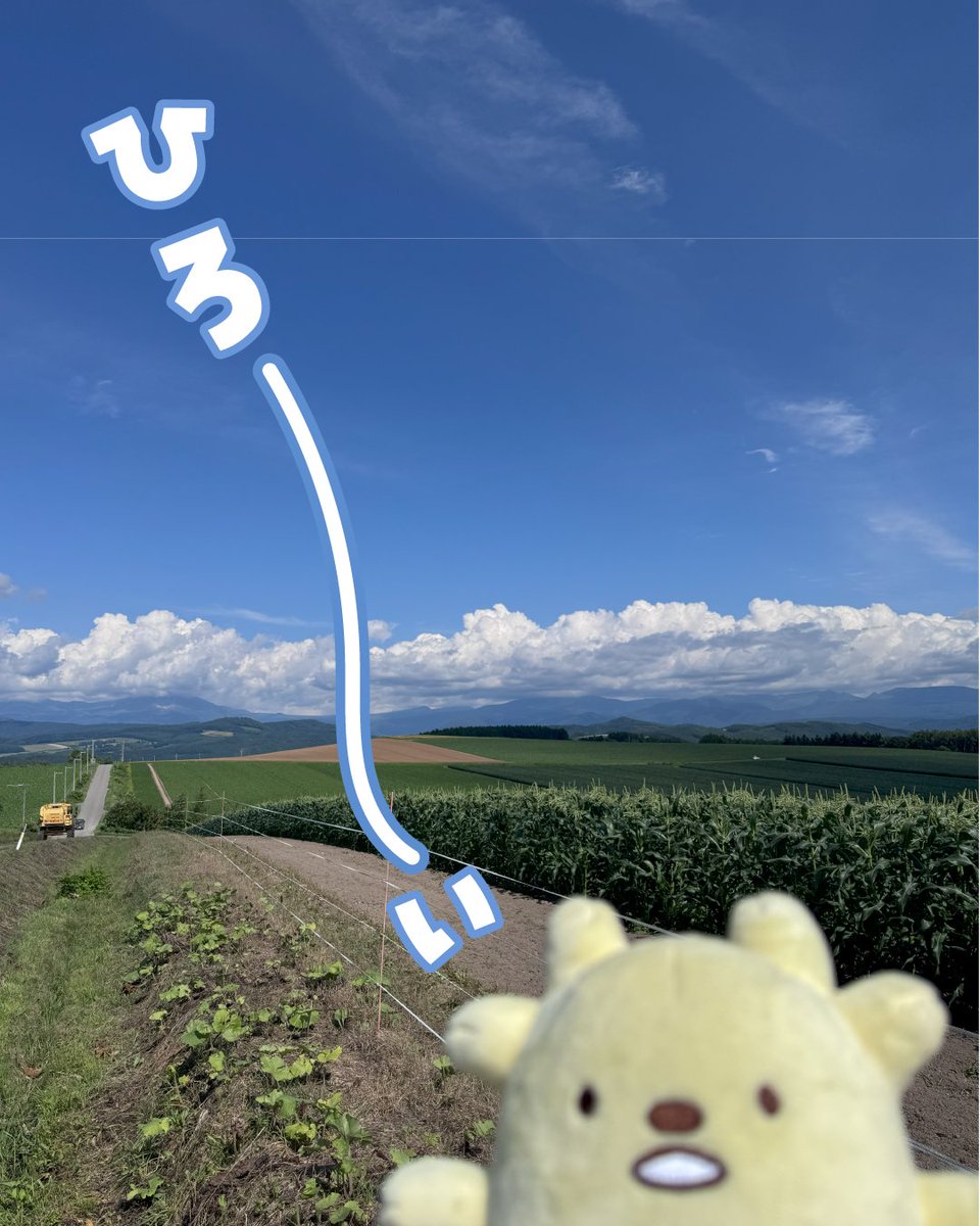 kyoritsusha's tweet photo. 今回は、各県の組合員理事さんや職員のみんなと一緒に #コープ東北 #産直提携協議会 に参加✨　　
北海道東川町の生産者 #矢澤農園 さんのもとへ行き、野菜つくりへの想い・こだわりをお聞きしたっぷ✨大切に育てられた野菜たち❤みんなにも食べてほしいっぷ🥰
#生協共立社 https://t.co/4GKTCr5yYJ