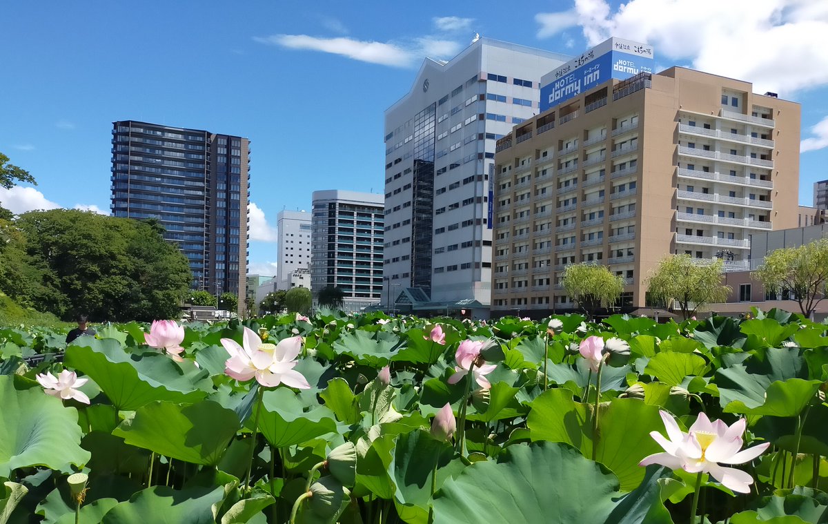 vIDwRFYY2415727's tweet photo. 秋田千秋公園 https://t.co/VQBDOec2Jp