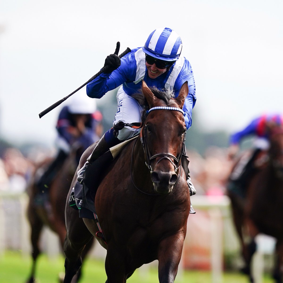 AtTheRaces's tweet photo. "We’ll probably hatch a very exciting plan, but I think it’s small steps at the moment"

Baaeed gained a first winner as a stallion as his regally-bred daughter struck first time out at Kempton...