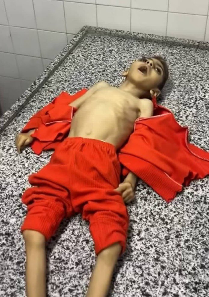 BAlhabel's tweet photo. Rest in peace

The world failed you https://t.co/g1JZjt7oR9