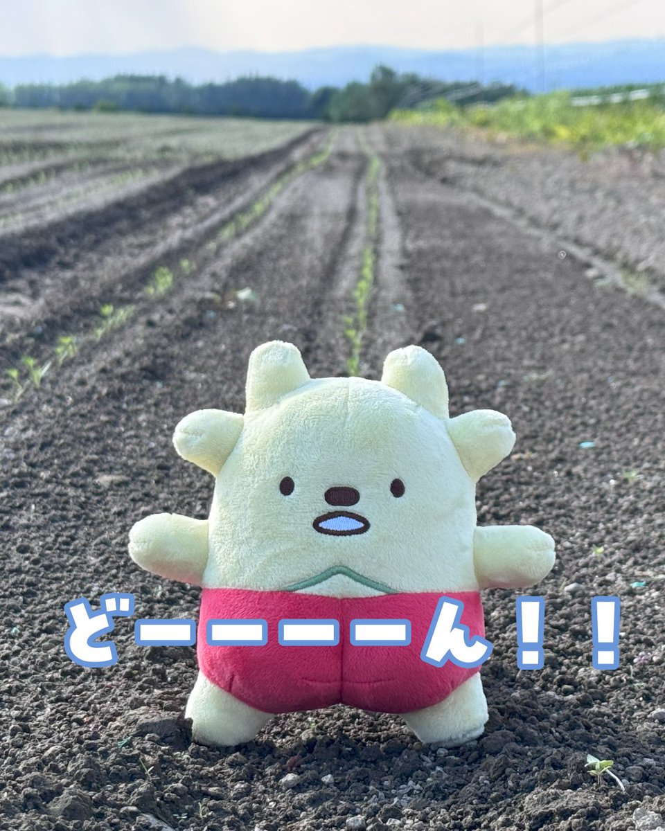 kyoritsusha's tweet photo. 今回は、各県の組合員理事さんや職員のみんなと一緒に #コープ東北 #産直提携協議会 に参加✨　　
北海道東川町の生産者 #矢澤農園 さんのもとへ行き、野菜つくりへの想い・こだわりをお聞きしたっぷ✨大切に育てられた野菜たち❤みんなにも食べてほしいっぷ🥰
#生協共立社 https://t.co/4GKTCr5yYJ
