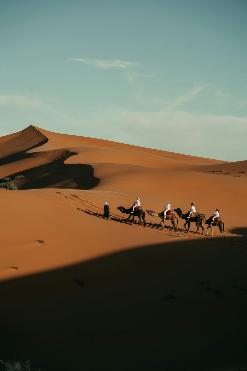exploreittours's tweet photo. 🇲🇦 Discover Morocco with local experts! Enjoy private tours, Sahara adventures and camel rides. 🐪

Book now: https://t.co/IUUohOfiga

#exploretours https://t.co/rcOTUtKfnb