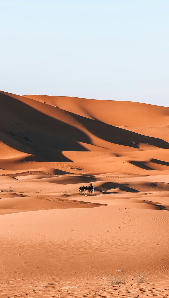 exploreittours's tweet photo. 🇲🇦 Discover Morocco with local experts! Enjoy private tours, Sahara adventures and camel rides. 🐪

Book now: https://t.co/IUUohOfiga

#exploretours https://t.co/rcOTUtKfnb