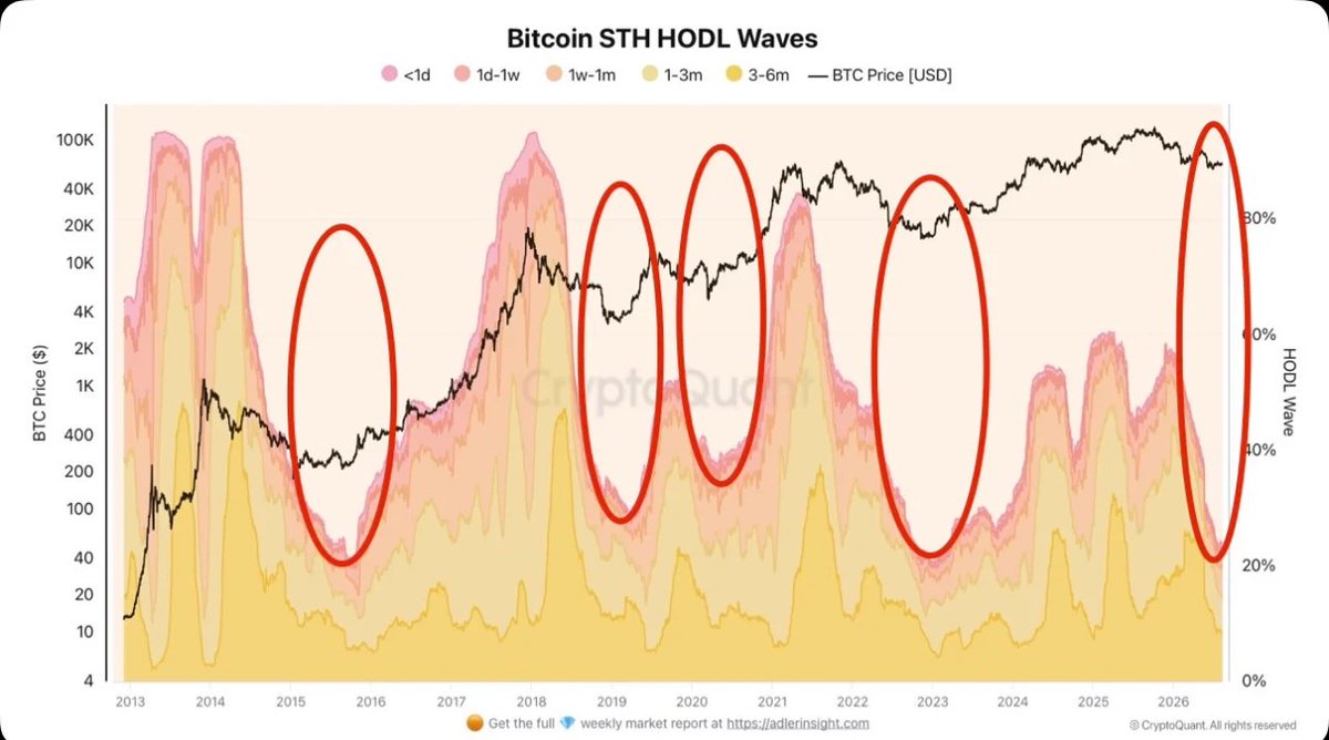 DanCoinInvestor tweet picture
