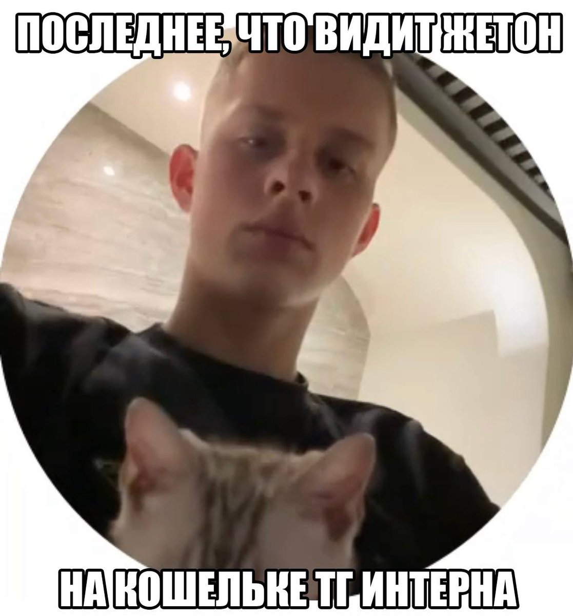 ablokton's tweet photo. @telegram https://t.co/544uiLFvAI