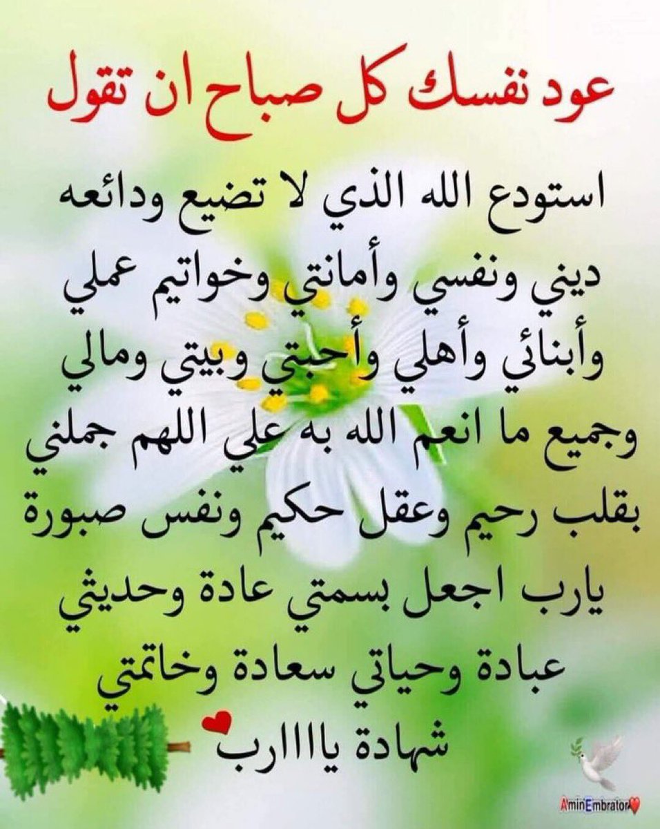 Awad344m tweet picture