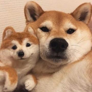 InaBobbyw0zw's tweet photo. 🍄 💼 👍 🧳 🎌 🌸 Just took a nap, feeling reborn https://t.co/jqmvW6CuFe