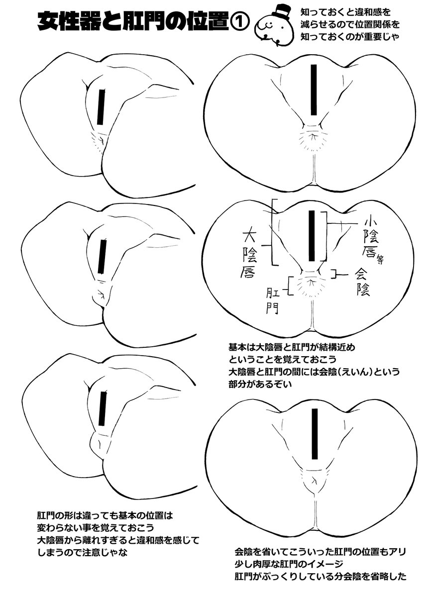 salsiccia_m's tweet photo. C108新刊サンプル⑦
🔞ちょっとエッチな部分なので注意‼️
女性器とアナルの位置関係をご紹介…この本を読めば小陰唇はどのあたりから始まって肛門はこのあたりというのが分かる…はず…
これからエッチ絵を描かれる方もいかがですか？

メロンブックスさんでも予約受付中です！ https://t.co/uxDC8o6eC9