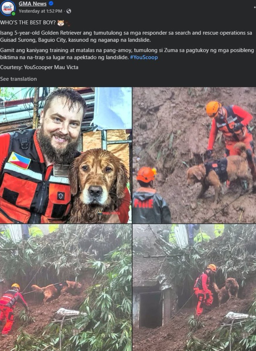 HarryFu_98's tweet photo. This is the most viral thing in the philippines right now

this dog Zuma is saving loads of people in the landslide that just happened recently in the philippines

its going insanely viral with 80k likes and 7 million views within a day on a single post??

https://t.co/us49QMBbin
https://t.co/ZoAkcF5eaG