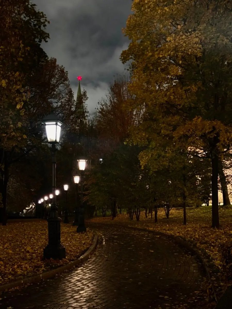 talya9646171863's tweet photo. gloomy autumn 🌧️🍂 https://t.co/etUq3OXUKo