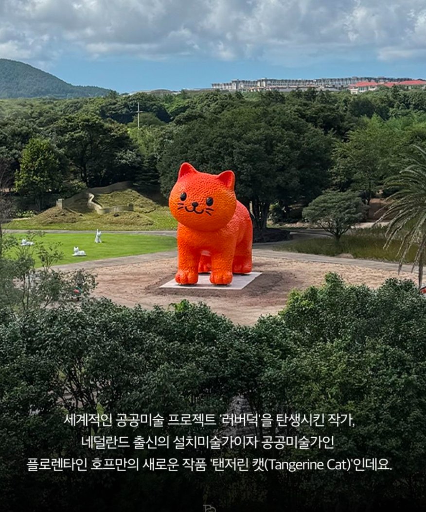 kimberrynice's tweet photo. 제주에 나타난 초대형 귤 고양이🍊🐱

'러버덕'으로 유명한 플로렌타인 호프만 작가의 신작 
'탠저린 캣(Tangerine Cat)'이 제주에 설치됐습니다!

길이 16m, 높이 7m의 거대한 크기로, 
귤껍질 질감의 몸통과 귤껍질이 까진 듯 연출된 꼬리가 포인트라고 하네요.

📍 제주 돌코리숲 https://t.co/XZ4bpKnE3D