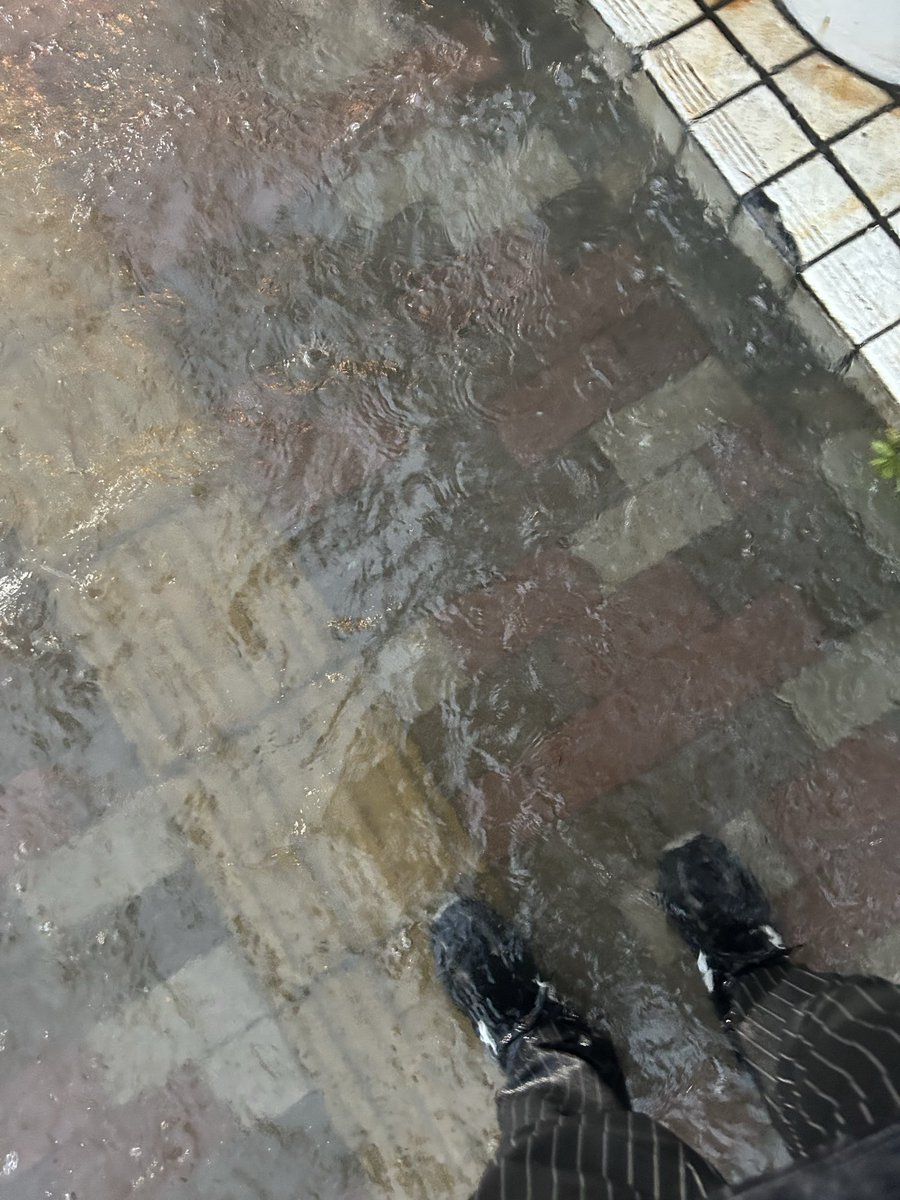 mocchi623's tweet photo. 水没してらぁ https://t.co/onmv1M2xxB