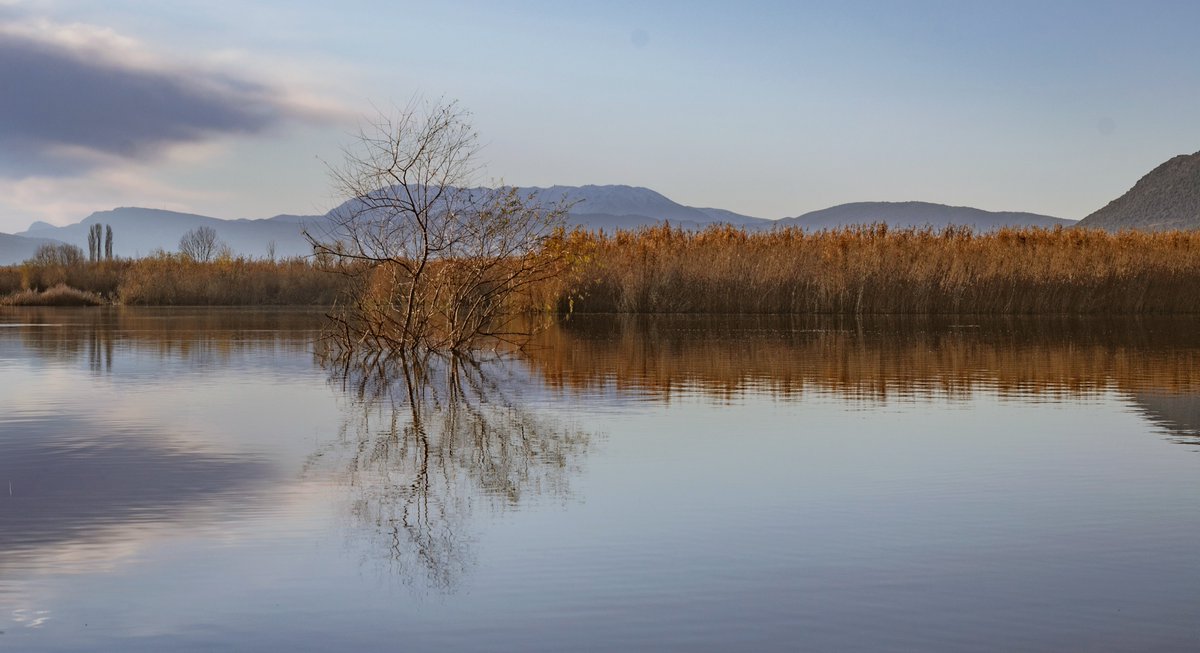 xontrikaiasximi's tweet photo. Landscapes
#pamvotida #ioannina #whereilive #reflections #nikond3100 #lightroom https://t.co/rh8zBpza4k