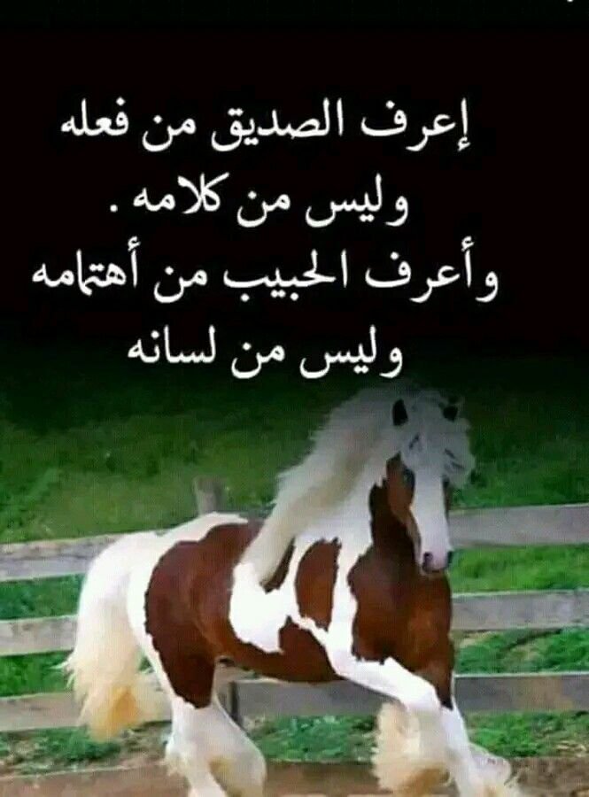 tima__33's tweet photo. حقيقة... https://t.co/vChmNypyEg
