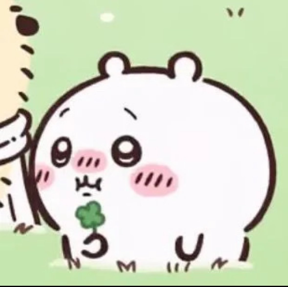 NotReallyOce's tweet photo. i love how chiikawa look so round here 😭🤍 https://t.co/8YlNvc1eyX