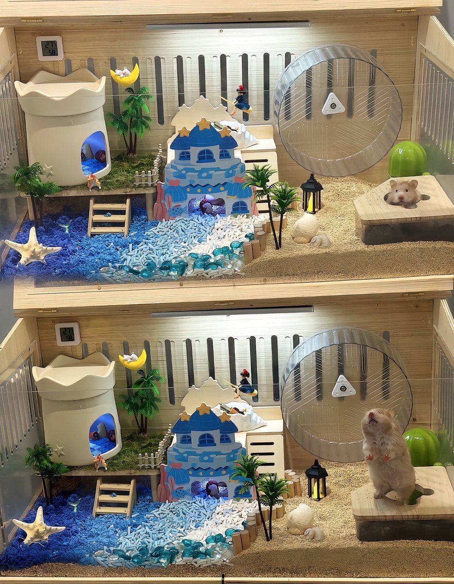 TweetsOfHamster's tweet photo. https://t.co/TeYeo6JrVX