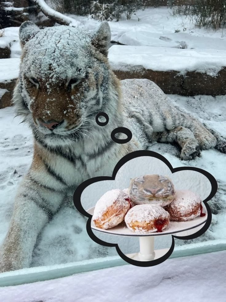 Goldtigercrisis's tweet photo. https://t.co/bibBHFsyXo