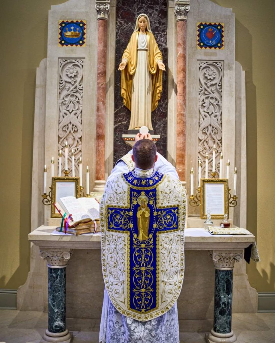 SiateSanti's tweet photo. ✠ Dio onnipotente ed eterno, che hai assunto in cielo in corpo e anima l'Immacolata Vergine Maria, Madre di tuo Figlio: concedici, ti preghiamo, che, mantenendo salda la meta del cielo, possiamo essere ritenuti degni di unirci a lei nella gloria.

Amen. https://t.co/e4dPiOlGOm