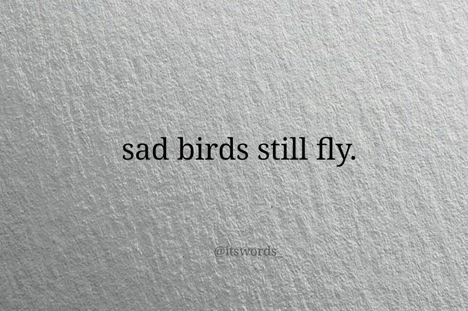 itswords_ tweet picture