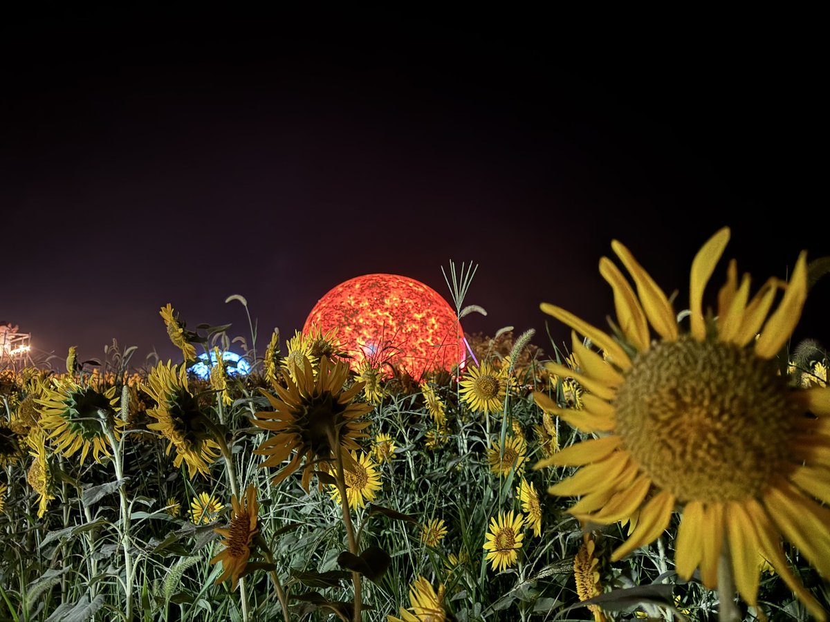 bnyking_fps's tweet photo. 惑星のひまわり畑は極上でした https://t.co/MH1hS421kX