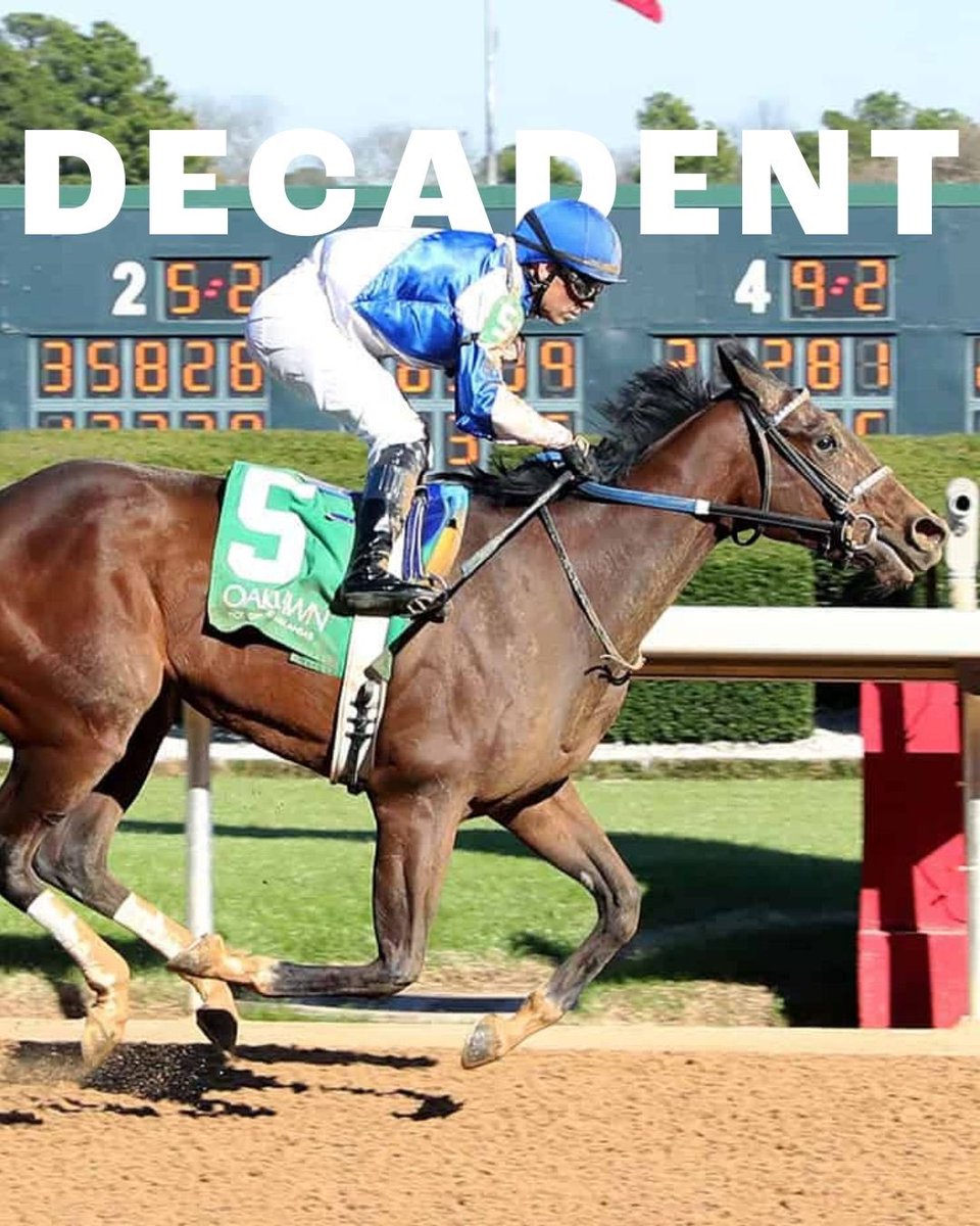 morninglineio's tweet photo. Decadent makes her next start today in Race 6 at @ColonialDowns. Her race record is 2 wins, 2 seconds, and 2 thirds in 10 starts. https://t.co/2dmEvELnYH