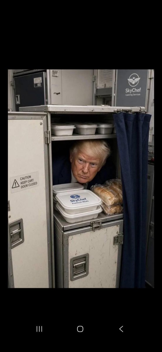 mpellicerala's tweet photo. i les xarxes socials s'han omplert de mems amb Trump amagat al #CaterForceOne. https://t.co/6CGF4jzZeJ