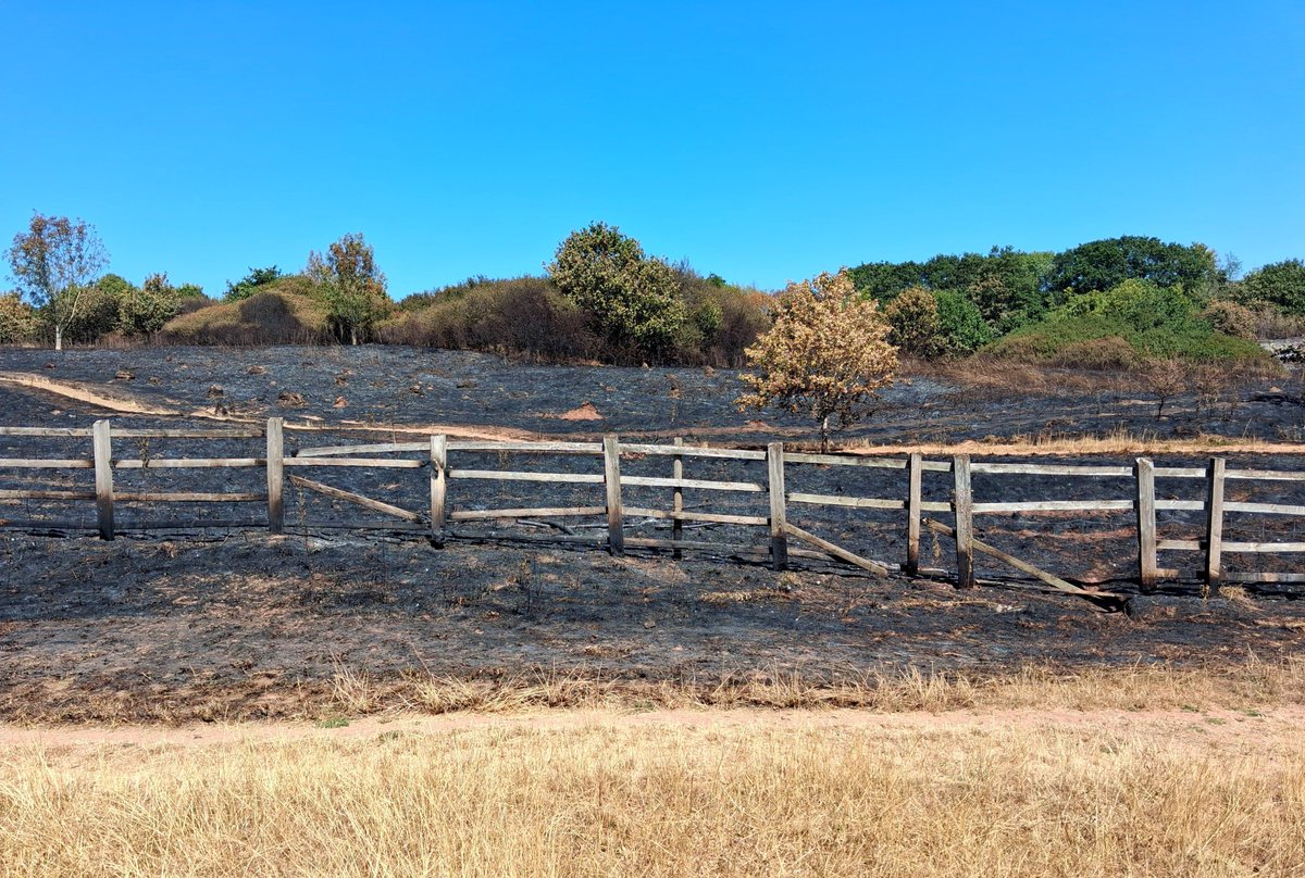 AdrianHarding99's tweet photo. Aftermath of grassland fire at Mincinglake Valley Park, Exeter. Houses close by. @DevonRescue did a great job keeping it contained and getting it under control. https://t.co/LA5MujHYq8