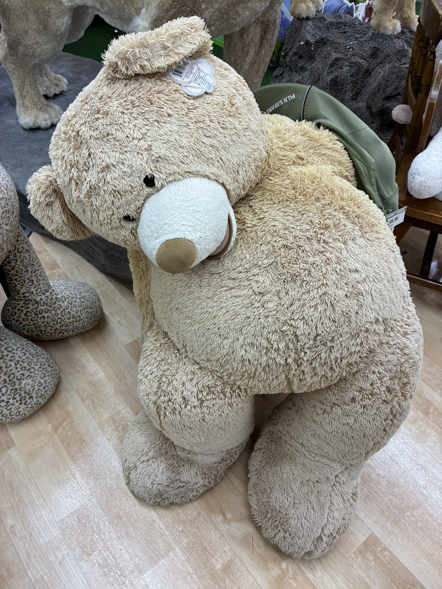 Kabocha_Balance's tweet photo. 富士サファリパークのナイトサファリ行ってきた🦁 https://t.co/ACYBmNGbqv