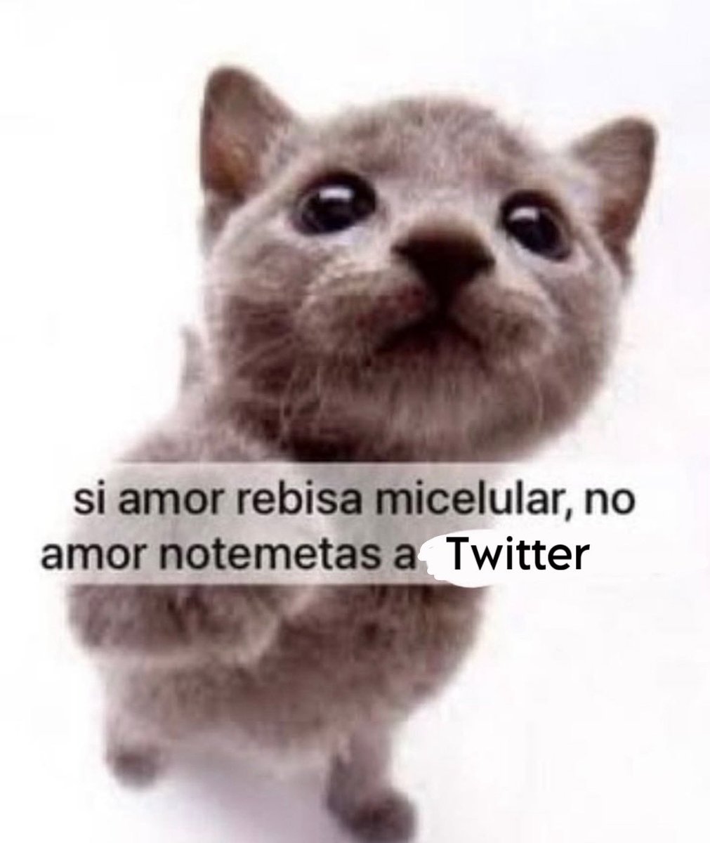 alone_hades_7's tweet photo. @NoVive_Socialis Pensamiento crítico todavía ponía XD https://t.co/f9xf1Z8Ttf