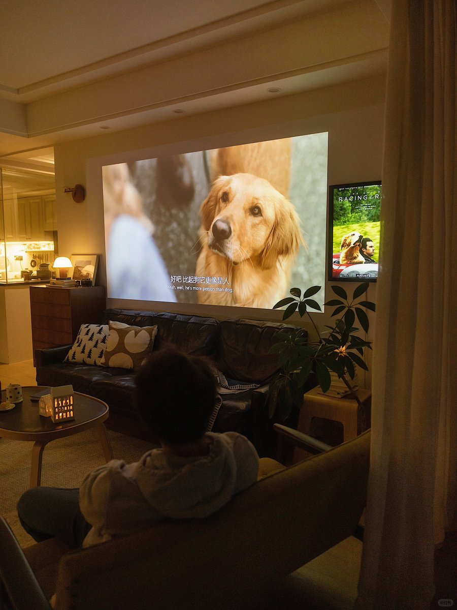 VivanFelbeei's tweet photo. [Cozy Friday night in, fresh baked cookies, and a movie on the couch—perfect little escape from the week’s chaos. ]， https://t.co/bJhjIRkqsi